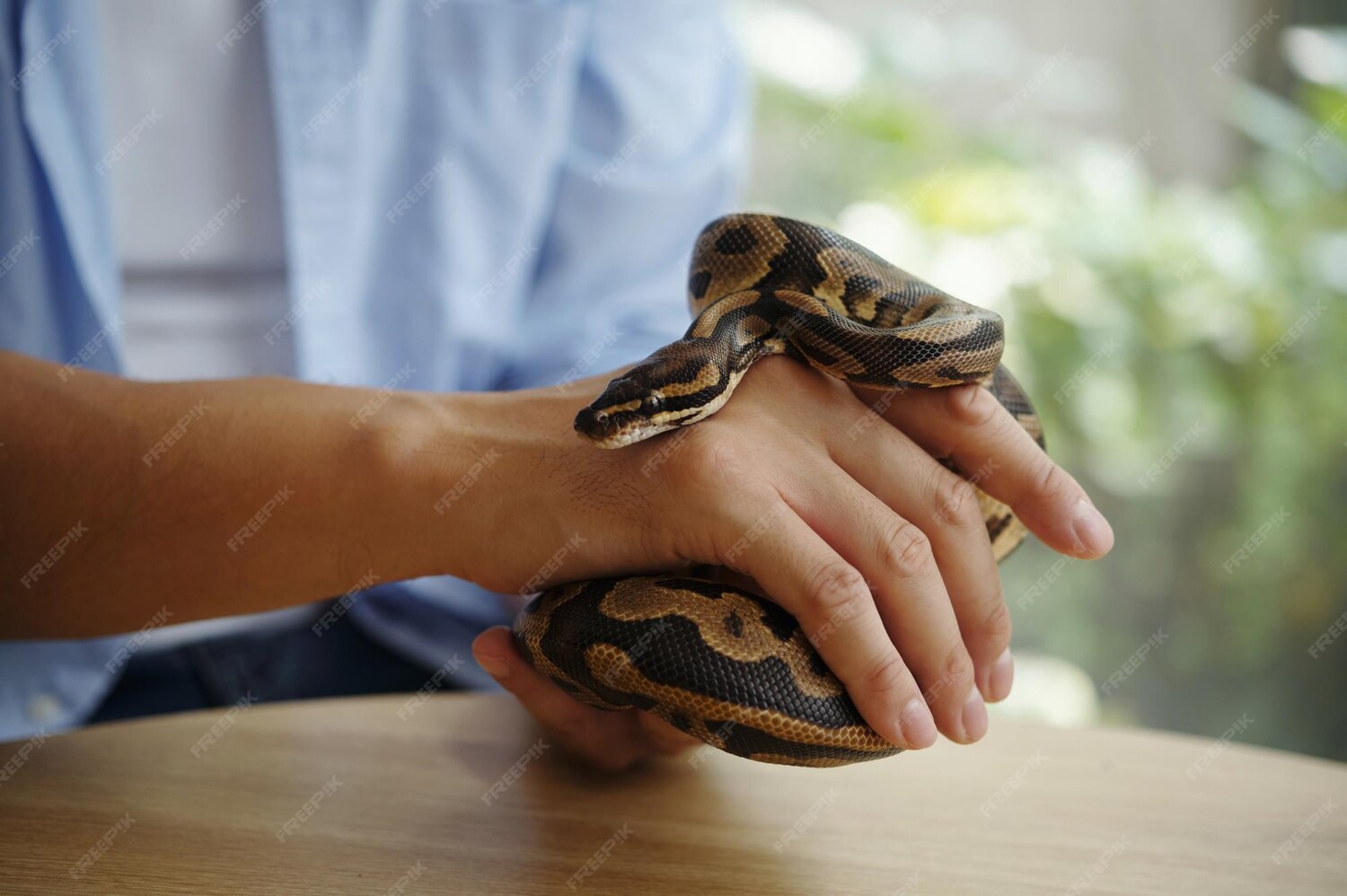 Poisonings & Snake Bite
